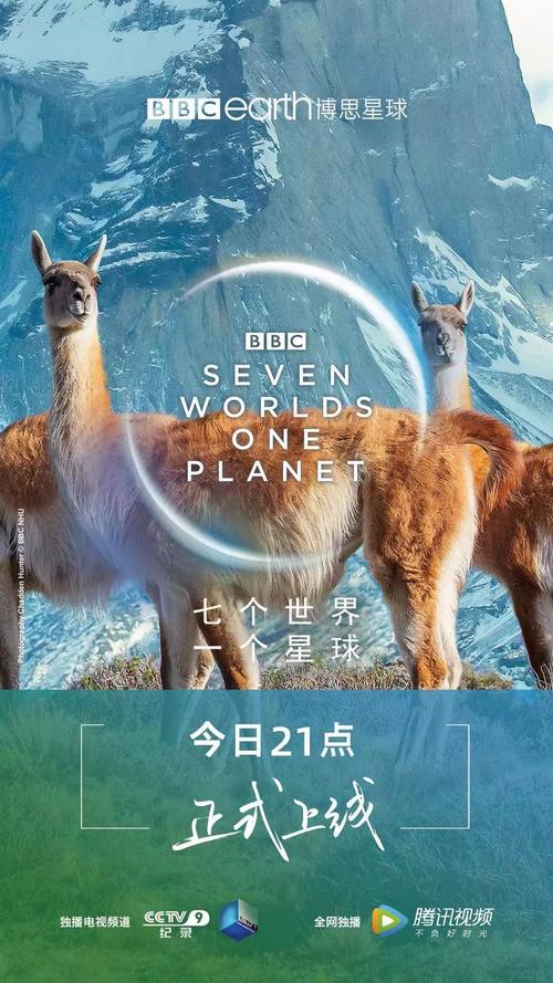 CCTV9在线观看，用Golang写给你的纪录片观看指南