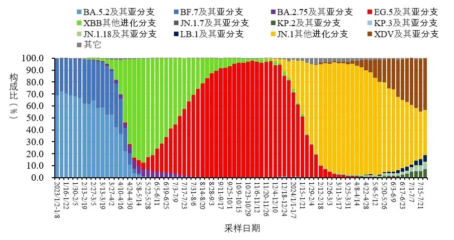 中疾控发布10月新冠感染情况，疫情处于低水平波动，JN.1变异株仍占主导